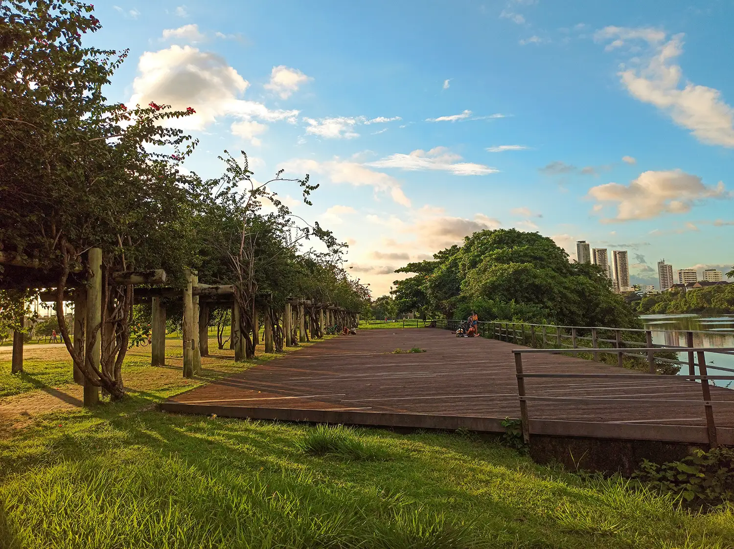 Jardins Filtrantes começam a ser construídos no Recife